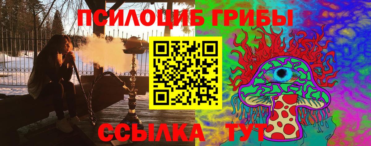 Галлюциногенные грибы Psilocybine cubensis  Вход с VPN  Прокопьевск  Псилоцибиновые грибы MAGIC MUSHROOMS 