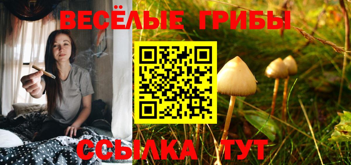 Галлюциногенные грибы Magic Shrooms Прокопьевск