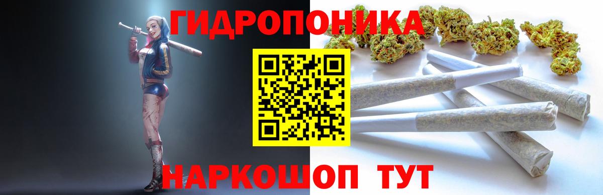 Прокопьевск  Бошки марихуана LSD WEED  Каннабис VHQ  Вход с VPN  Бошки марихуана планчик 